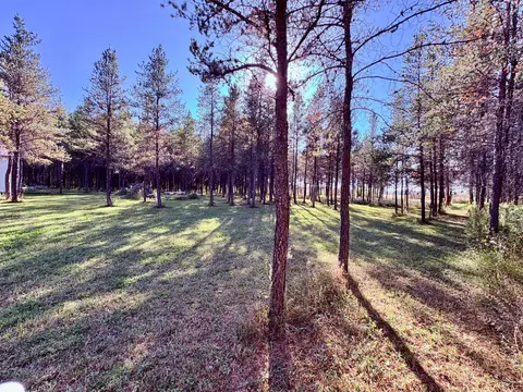 541 Wilderness Ave, Williams, MN 56686 photo 26