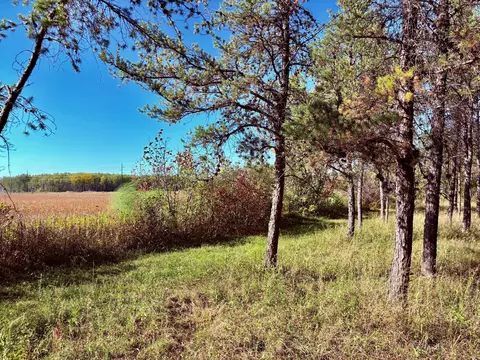 541 Wilderness Ave, Williams, MN 56686 photo 25