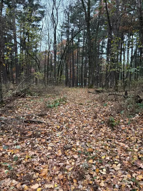 38 Nnn Jivaro St NW, Dalbo, MN 55017