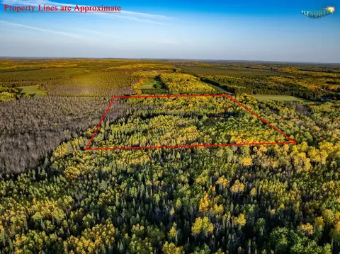 tbd County Road 3, Ray, MN 56669 photo 6