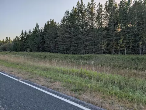 tbd County Road 3, Ray, MN 56669 photo 3
