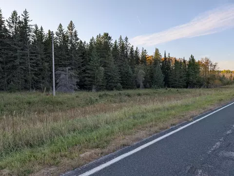 tbd County Road 3, Ray, MN 56669 photo 4