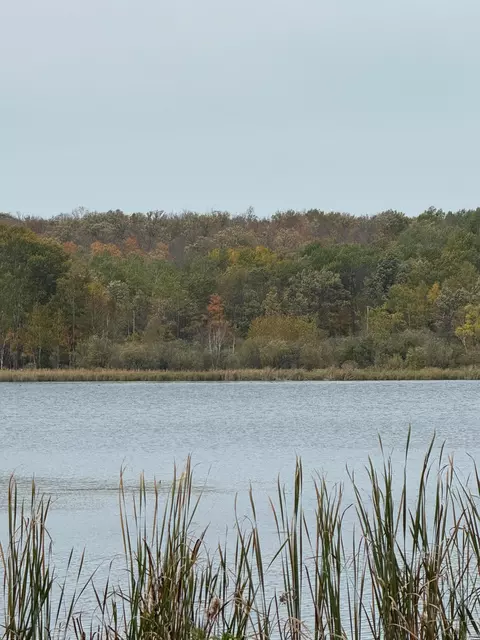 tbd Minerva Lake Rd, Minerva Twp, MN 56676
