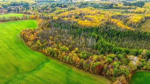 tbd W Debs, Shevlin, MN 56676 photo 3