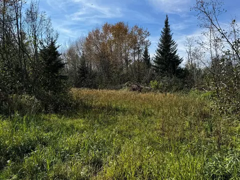 lot Apt 1 Tbd Co 9, Becida, MN 56678 photo 39