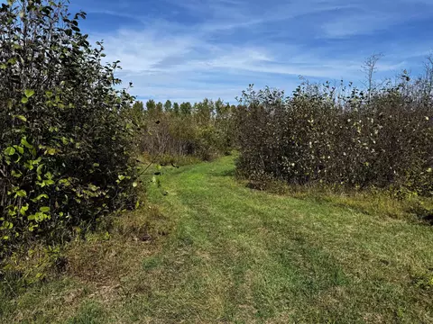 lot Apt 1 Tbd Co 9, Becida, MN 56678 photo 35