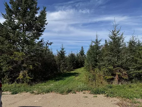 lot Apt 1 Tbd Co 9, Becida, MN 56678 photo 49