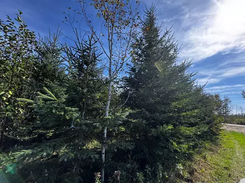 lot Apt 1 Tbd Co 9, Becida, MN 56678 photo 46
