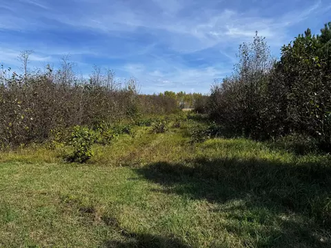lot Apt 1 Tbd Co 9, Becida, MN 56678 photo 34