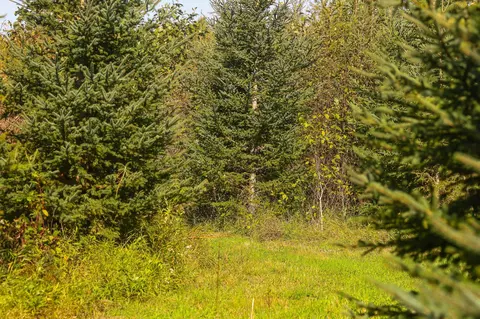 lot Apt 1 Tbd Co 9, Becida, MN 56678 photo 31