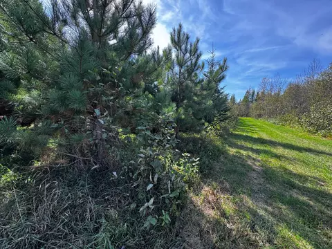 lot Apt 1 Tbd Co 9, Becida, MN 56678 photo 36