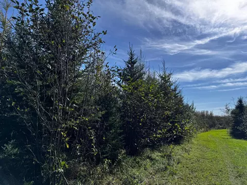 lot Apt 1 Tbd Co 9, Becida, MN 56678 photo 37