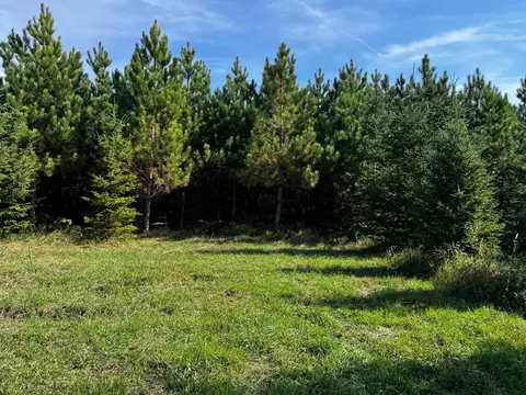 lot Apt 1 Tbd Co 9, Becida, MN 56678 photo 45