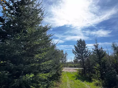 lot Apt 1 Tbd Co 9, Becida, MN 56678 photo 47
