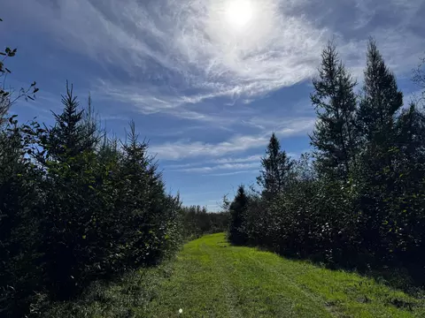 lot Apt 1 Tbd Co 9, Becida, MN 56678 photo 38