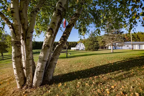 Exterior - 41195 460th Ave, Perham, MN 56573 photo 7 of 32