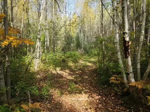 tbd Bear Lake Rd, Butternut, WI 54514