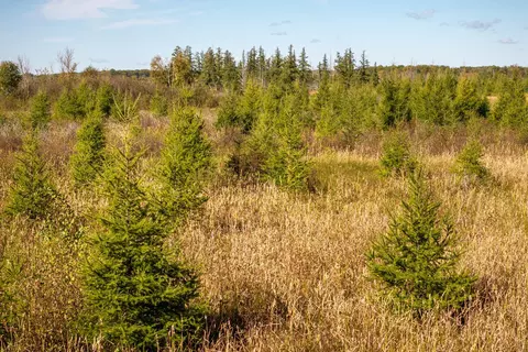 tbd 350th St, Onamia, MN 56359 photo 5