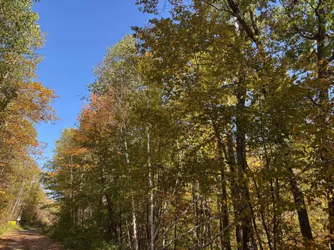 tbd County Road 12, Akeley, MN 56433