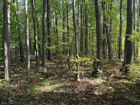 tbd 2 Deep Lake Rd, Madge Twp, WI 54870