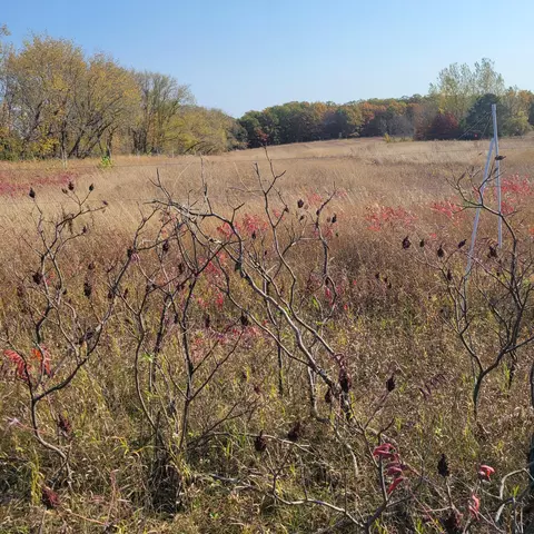 tbd 447th Ave, Ottertail, MN 56571