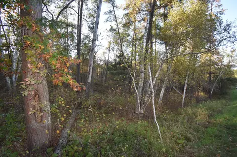tbd Belgian Dr, Breezy Point, MN 56472 photo 3