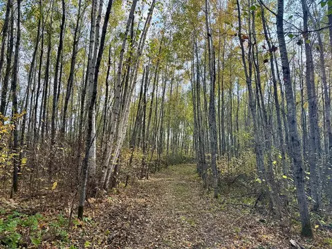 48 Xyz Deerfield Rd, Kerrick Twp, MN 55783