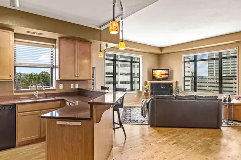 1155 Ford Rd #501, Saint Louis Park, MN 55426