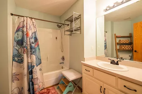 Bath - 11139 Blazingstar Ct, Champlin, MN 55316 photo 3 of 5