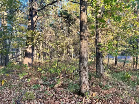 tbd Steamboat Loop, Walker, MN 56484 photo 3