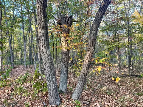 tbd Steamboat Loop, Walker, MN 56484 photo 5