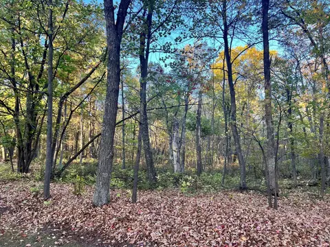 tbd Steamboat Loop, Walker, MN 56484 photo 2