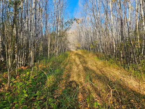 tbd Leathers Rd, Orr, MN 55771 photo 15