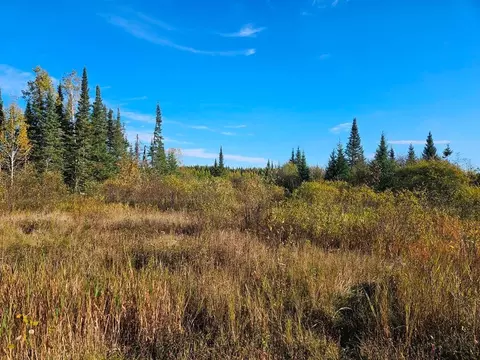 tbd Leathers Rd, Orr, MN 55771 photo 18