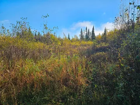 tbd Leathers Rd, Orr, MN 55771 photo 17
