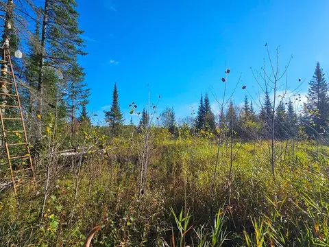 tbd Leathers Rd, Orr, MN 55771 photo 20
