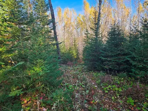 tbd Leathers Rd, Orr, MN 55771 photo 12