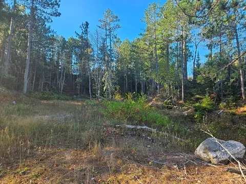 tbd Leathers Rd, Orr, MN 55771 photo 4