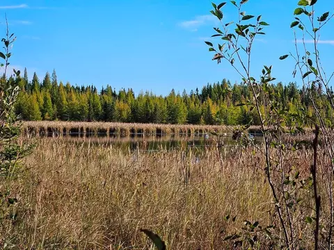 tbd Leathers Rd, Orr, MN 55771 photo 3
