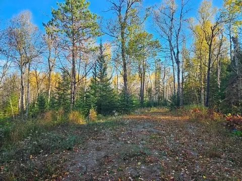 tbd Leathers Rd, Orr, MN 55771 photo 9
