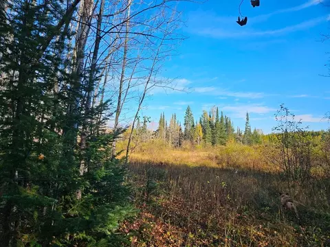 tbd Leathers Rd, Orr, MN 55771 photo 16