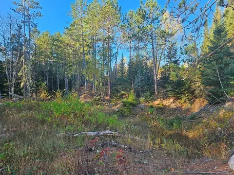 tbd Leathers Rd, Orr, MN 55771 photo 5