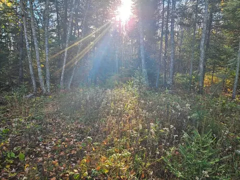 tbd Leathers Rd, Orr, MN 55771 photo 11