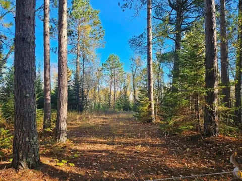 tbd Leathers Rd, Orr, MN 55771