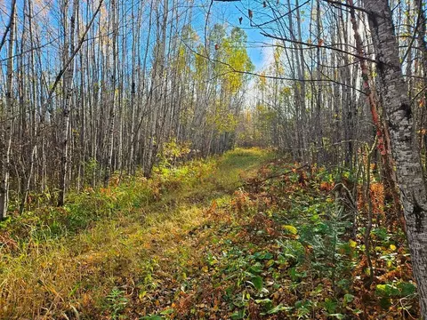 tbd Leathers Rd, Orr, MN 55771 photo 14