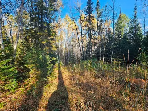 tbd Leathers Rd, Orr, MN 55771 photo 8
