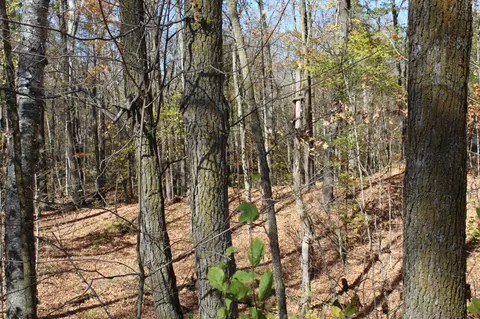 tbd Woods Rd, Isle, MN 56342
