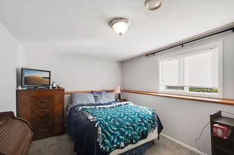 7159 Shad Ave, Hugo, MN 55038 photo 13