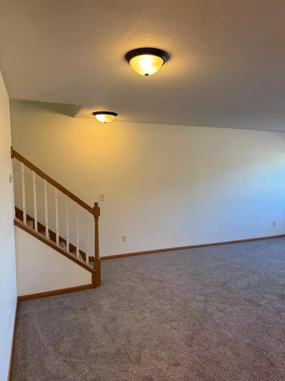 Living - 1102 Wheat St NW, New Prague, MN 56071 photo 1 of 4