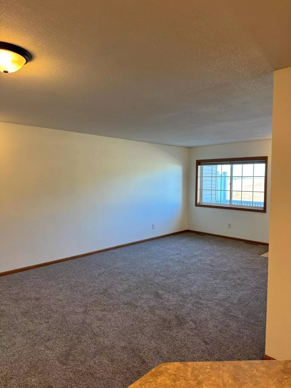 Living - 1102 Wheat St NW, New Prague, MN 56071 photo 2 of 4